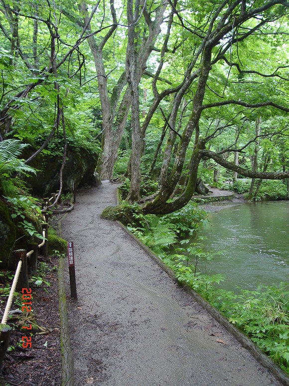 a0188775_1028236.jpg