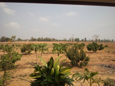 d0144077_412373.jpg
