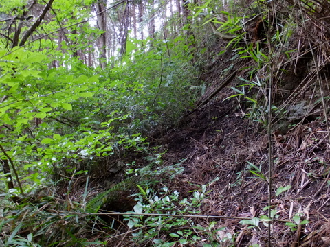 a0043982_16492890.jpg