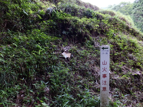 a0043982_16503537.jpg