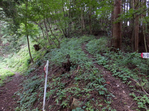 a0043982_19275563.jpg
