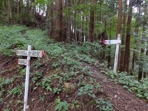 a0043982_19281798.jpg