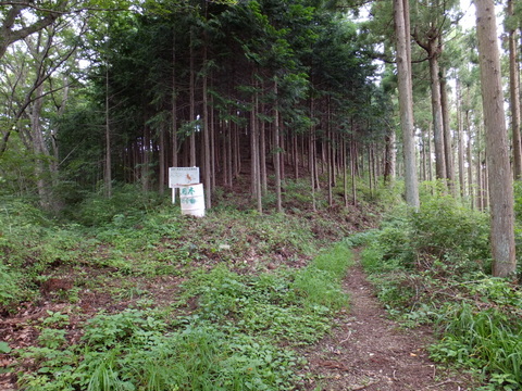 a0043982_19285769.jpg