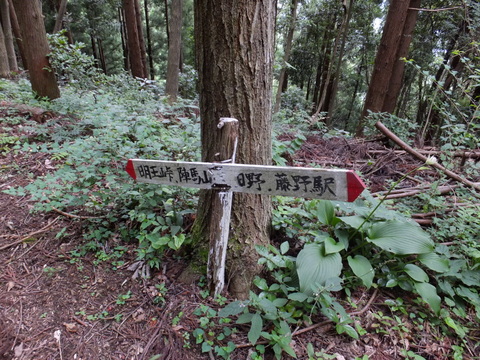 a0043982_19292481.jpg