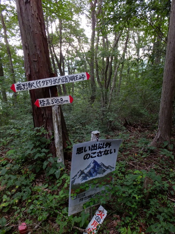a0043982_1930046.jpg