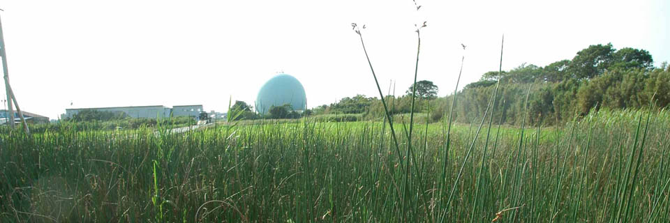 c0170789_11244771.jpg