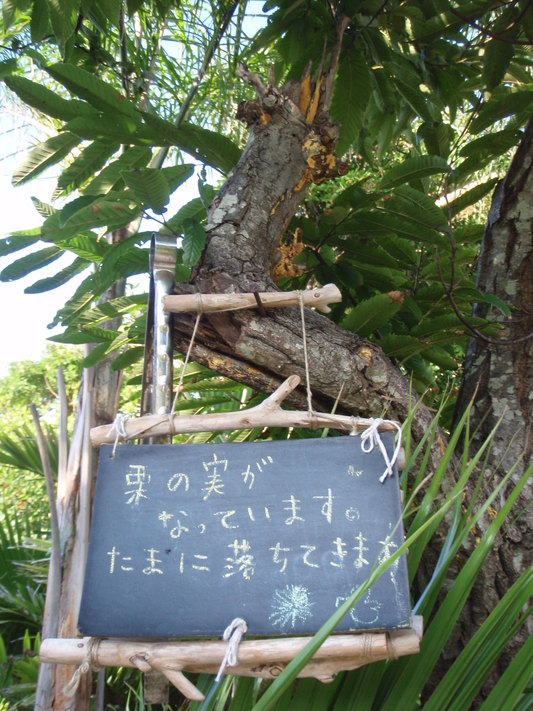 e0269900_2142387.jpg