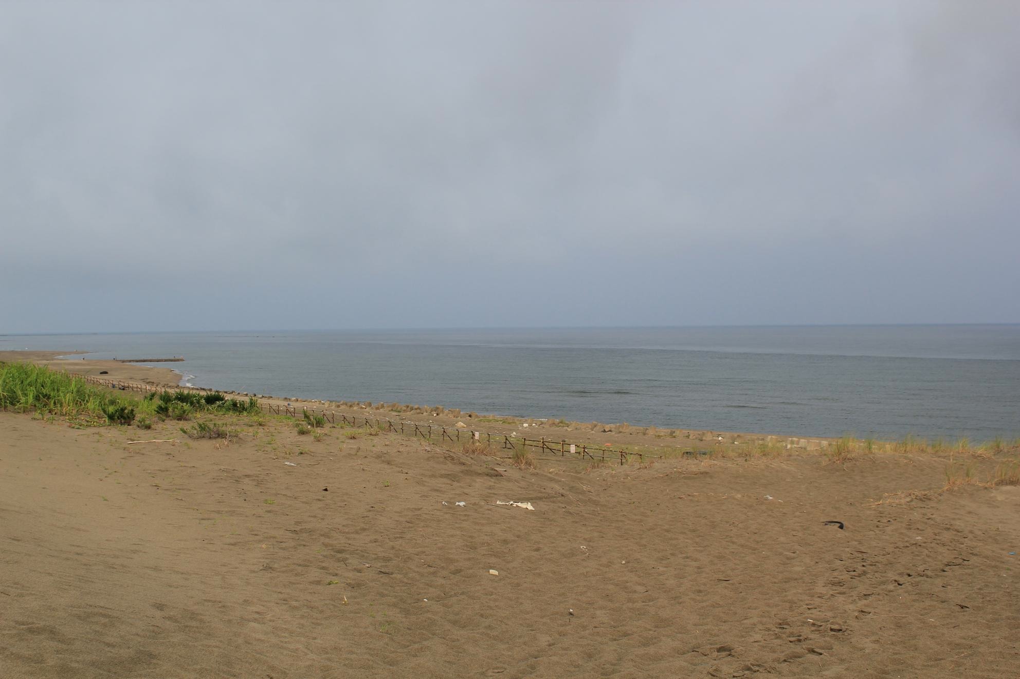 a0264604_7151822.jpg