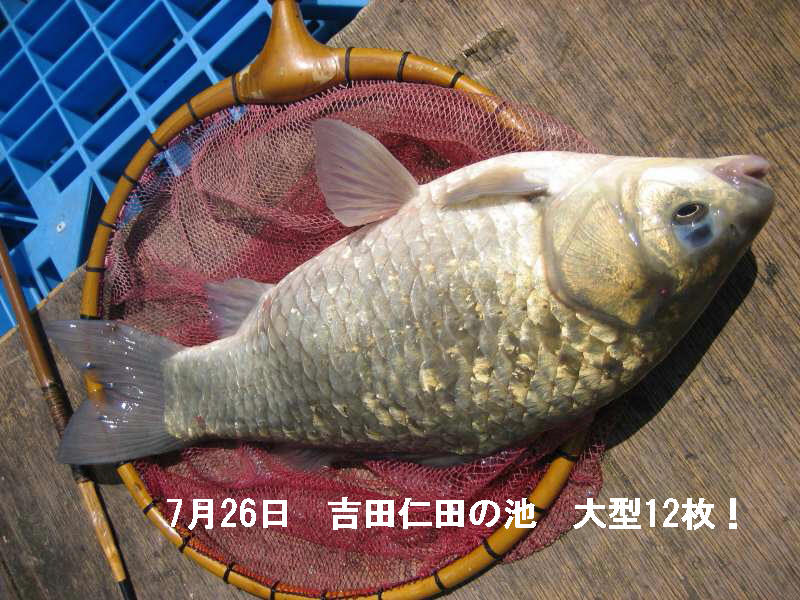 a0188405_18573141.jpg