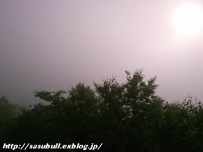 e0145805_12314223.jpg