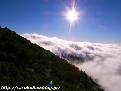 e0145805_12323738.jpg
