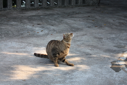 b0093515_7341629.jpg
