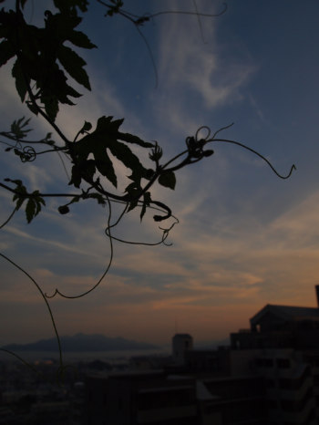 c0175715_9503469.jpg