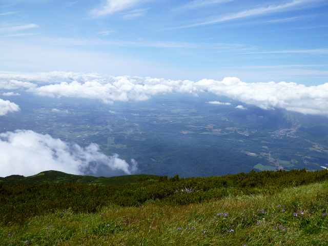 d0170615_247349.jpg