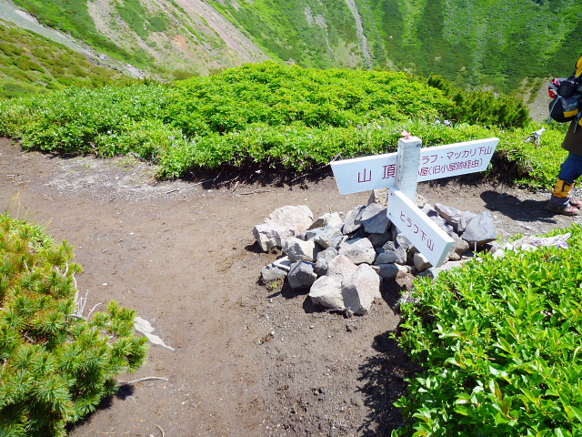 d0170615_342872.jpg