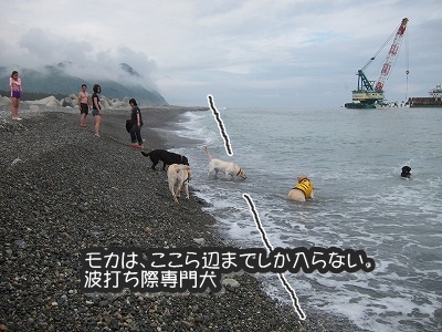 e0192217_12154345.jpg