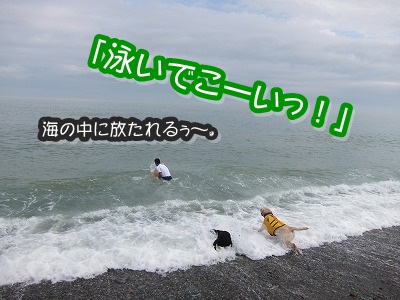 e0192217_12314015.jpg