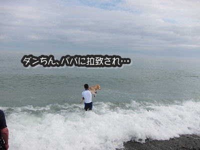 e0192217_12314199.jpg
