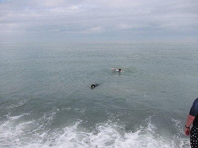 e0192217_1232841.jpg