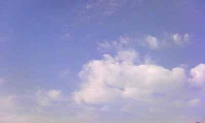 d0024220_17503698.jpg