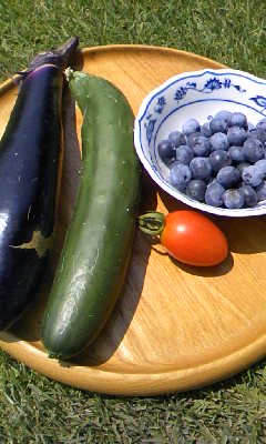d0024220_17512417.jpg