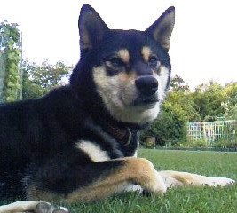 d0024220_17554423.jpg