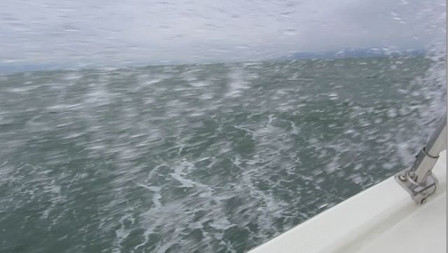 f0100920_1611630.jpg