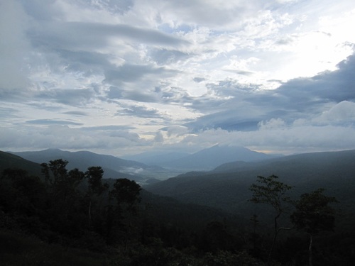 f0149422_2330112.jpg