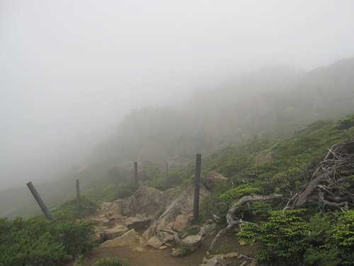 f0149422_2333413.jpg