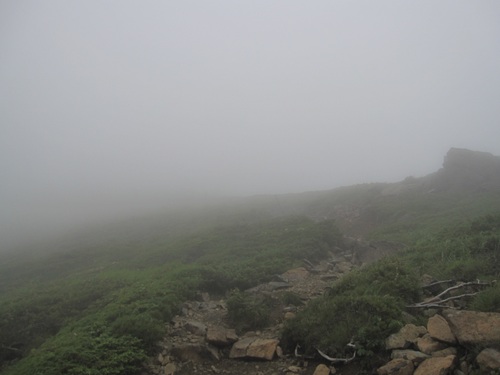 f0149422_23335834.jpg