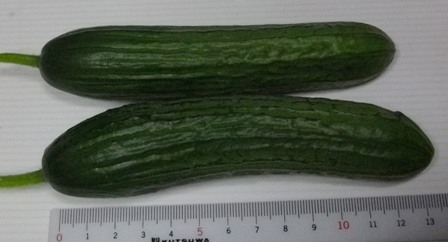 b0181524_18375593.jpg