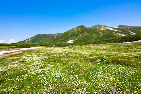 e0025030_937634.jpg
