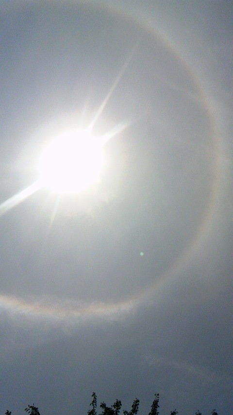 c0136640_0445830.jpg