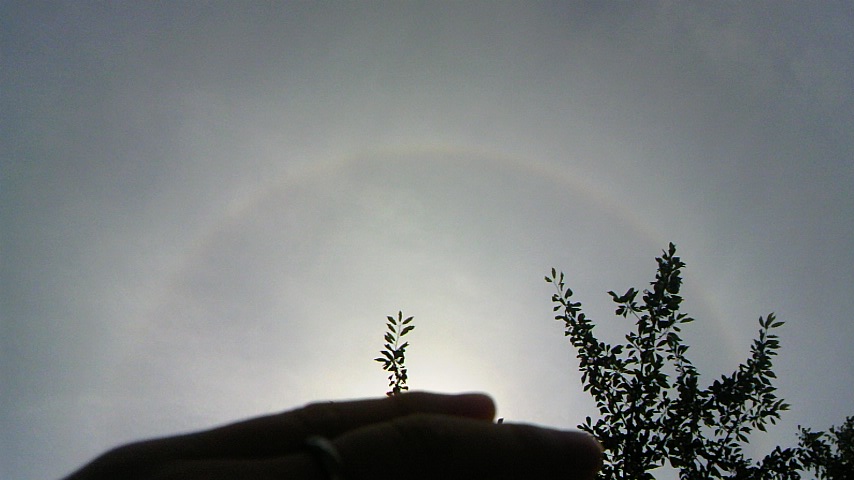 c0136640_0465082.jpg