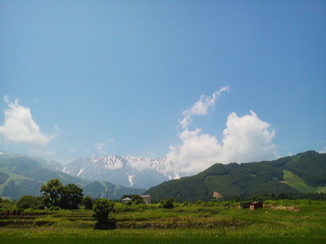 a0272241_205655.jpg