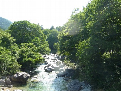 c0220047_1722876.jpg