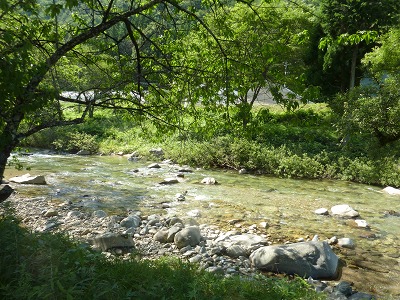 c0220047_1724660.jpg