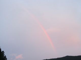 a0054948_9504719.jpg