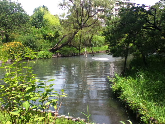 d0063149_23375768.jpg