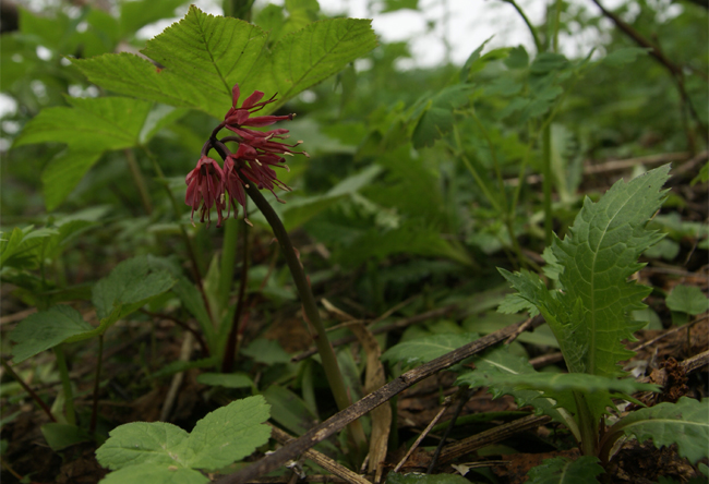 f0214649_2134199.jpg
