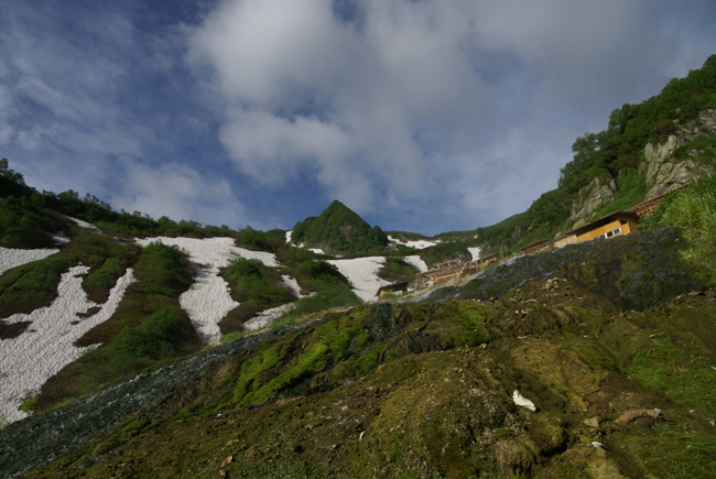 f0214649_531129.jpg