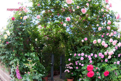 a0249051_18541431.jpg
