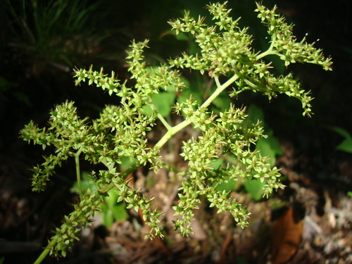 f0198556_15383576.jpg