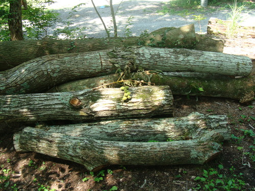 f0198556_15471861.jpg