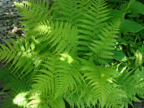 f0198556_15493777.jpg