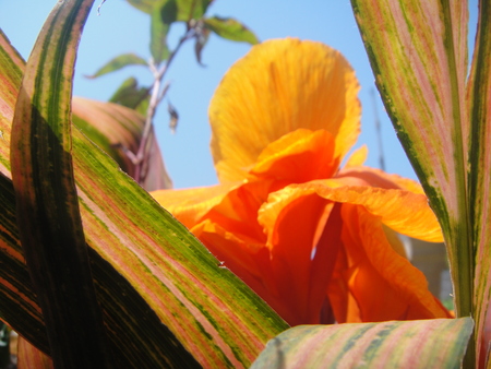 c0108460_154391.jpg