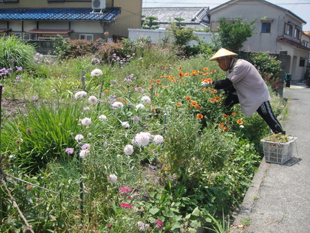 c0108460_1554752.jpg