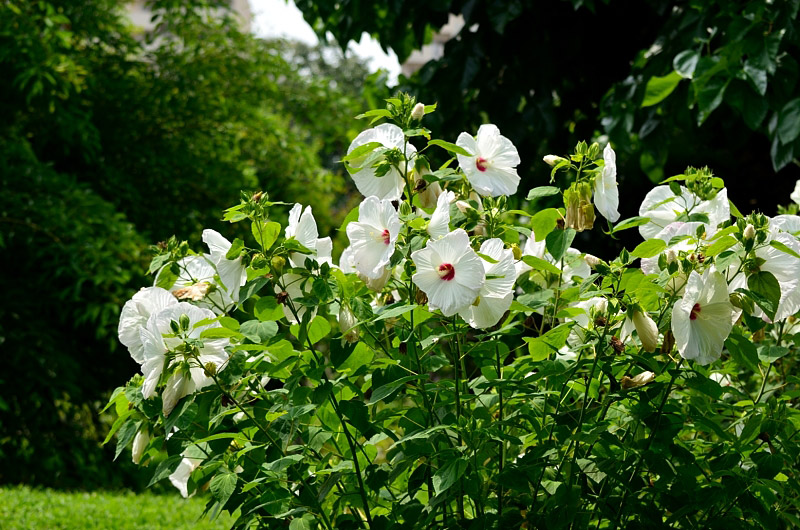 f0108478_16153077.jpg