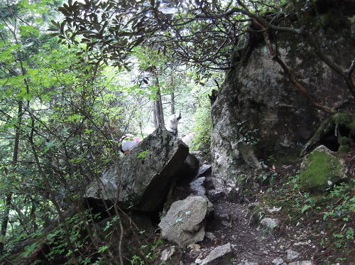 b0136381_2134236.jpg