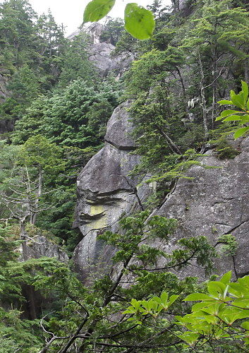 b0136381_21352139.jpg
